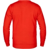 TS-PL01156000160 - Image 2