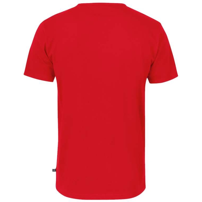 TS-TS18156000160 - Image 5