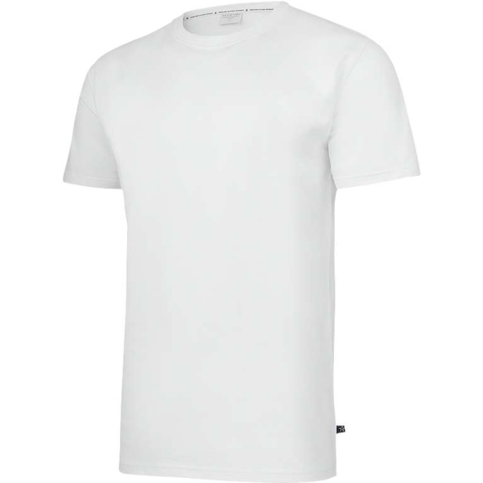 TS-TS19101000160 - Image 2