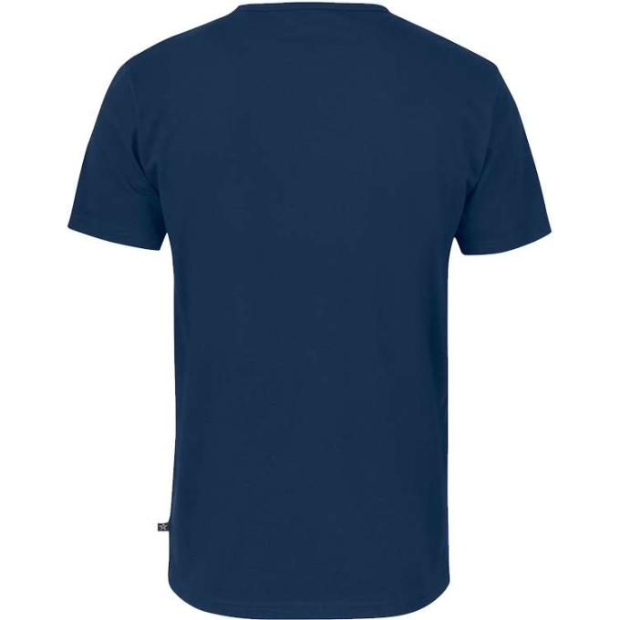 TS-TS18188000160 - Image 4