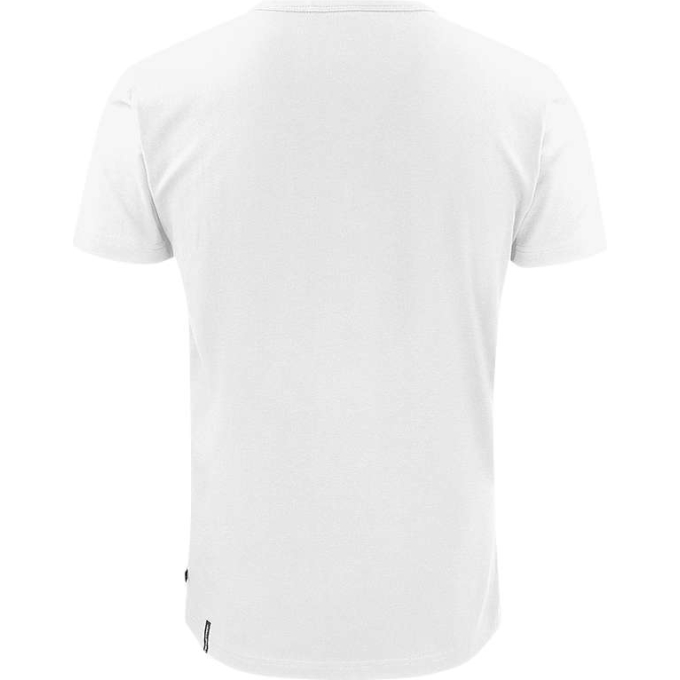 TS-TS20101000150 - Image 4