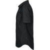 TS-SH20199000150 - Image 3